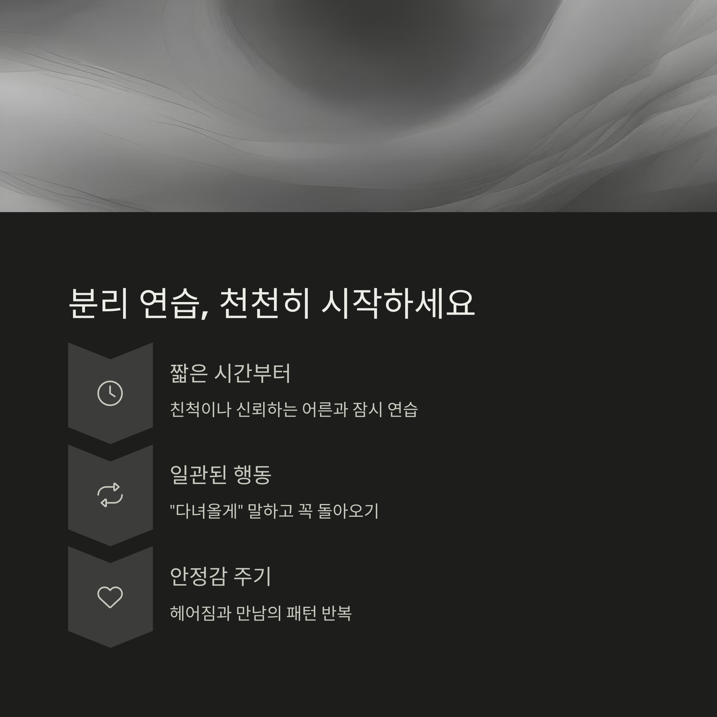 분리 연습을 천천히 시작하자는 메시지와 함께, 짧은 시간부터 시작, 일관된 행동, 안정감 주기의 팁이 정리된 인포그래픽 이미지