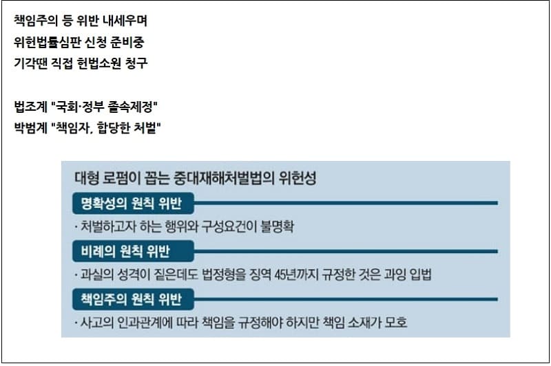 [구멍뚫린 중대법] 법무법인, 중대재해법 소송 날개 달을 듯...마치 저작권 벌떼와 유사