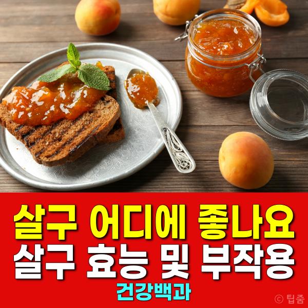살구 어디에 좋은가요 살구 효능 부작용