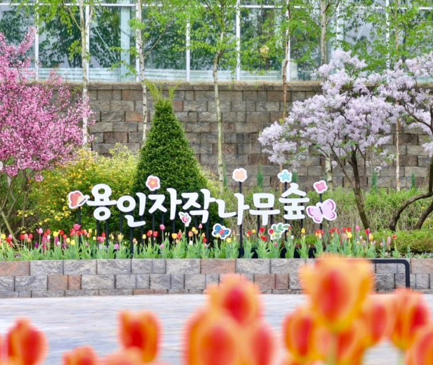 용인-베툴라