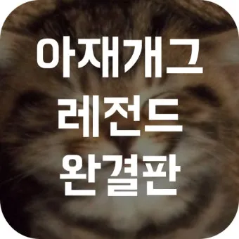 아재개그 레전드 모음 말장난 끝판왕 대방출_15
