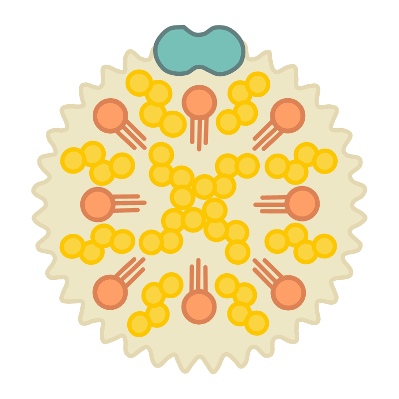 대사증후군 원인