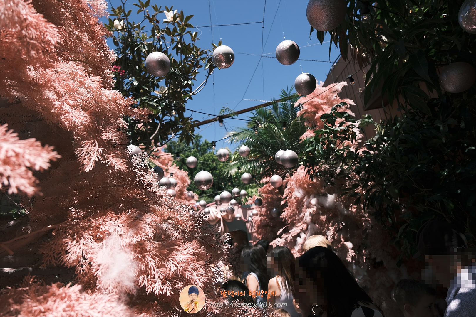 더 그라운즈 오브 알렉산드리아(The Grounds of Alexandria)