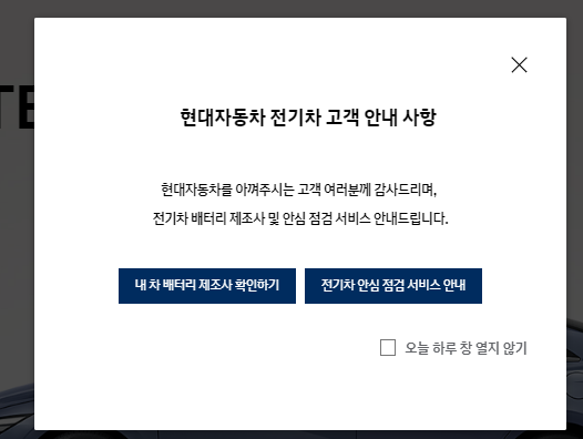 현대 블루핸즈 예약방법