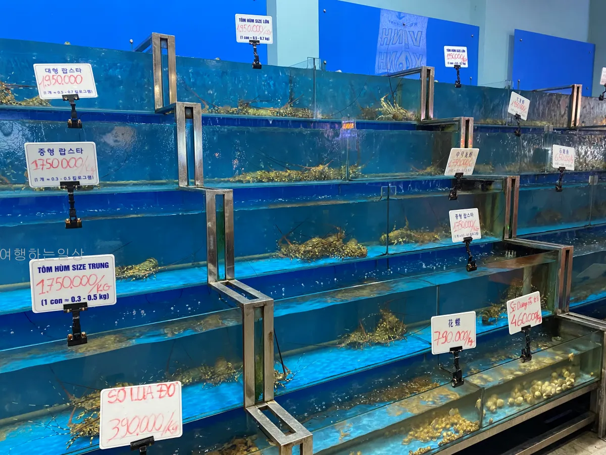 가족해외여행-나트랑-해산물-맛집-빈산-웨이팅대기,추천메뉴,랍스터-후기