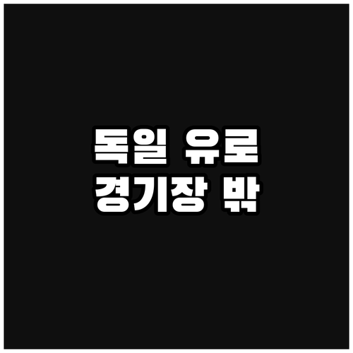 유로 2024 독일, 축구 팬들을 위