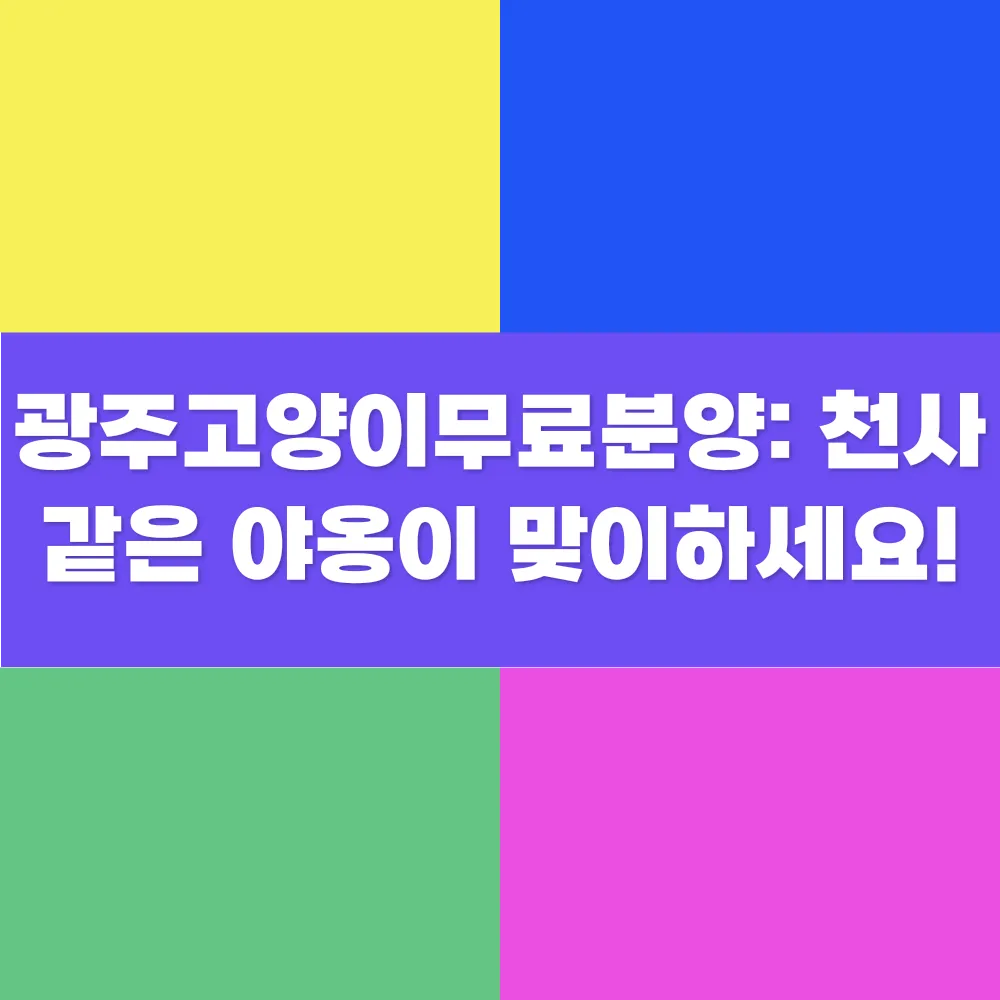 썸네일 이미지