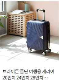 브라이튼 콜딘 여행용 캐리어