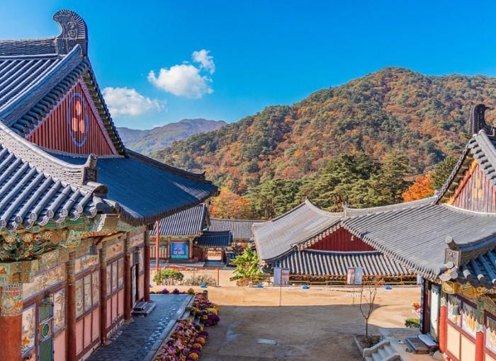 한적한 국내 여행-가야산 해인사