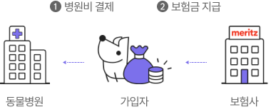 국내 최초 동물병원 보험금