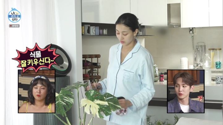 오르시떼잠옷-트와이스지효