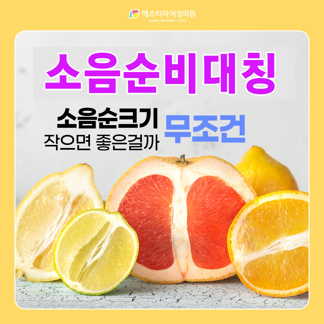 소음순비대칭