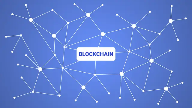 가상자산과세 유예