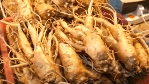 시장에 한약재가 진열되어있는 모습