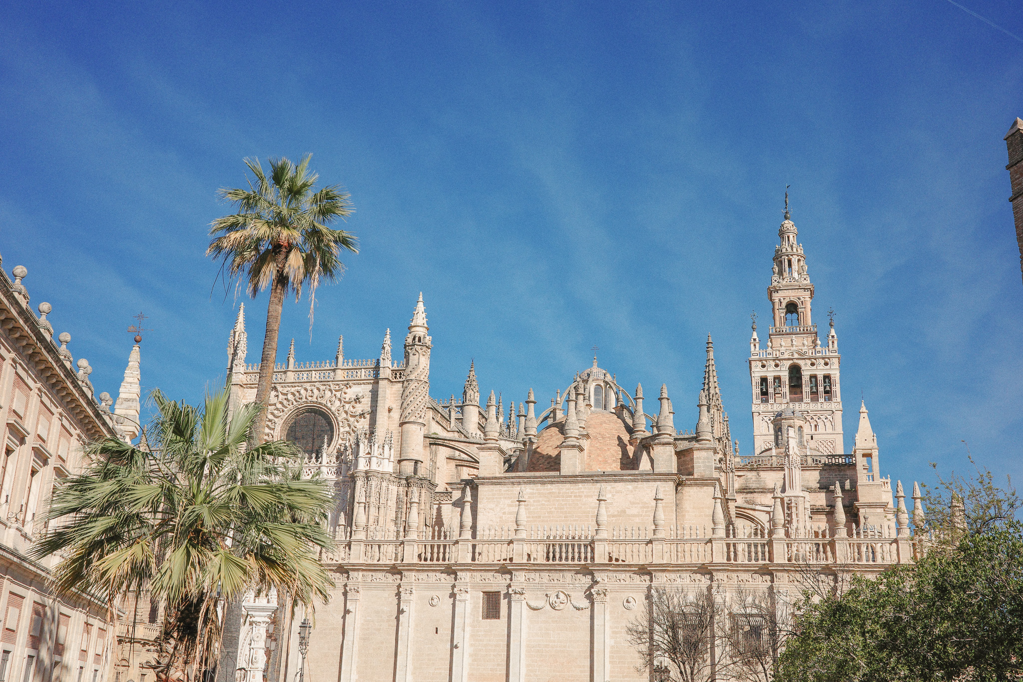 세비야 대성당 사진