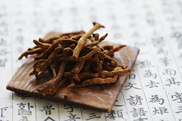 둥글레차 효능&amp;#44; 종류&amp;#44; 재배기간&amp;#44; 부작용등을 알아봤습니다. 둥글레차는 흔하게 먹는 차 종류에 속하지만 카페인이 있어서 조심해야 할 부분도 있습니다. 글을 참고해주세요!