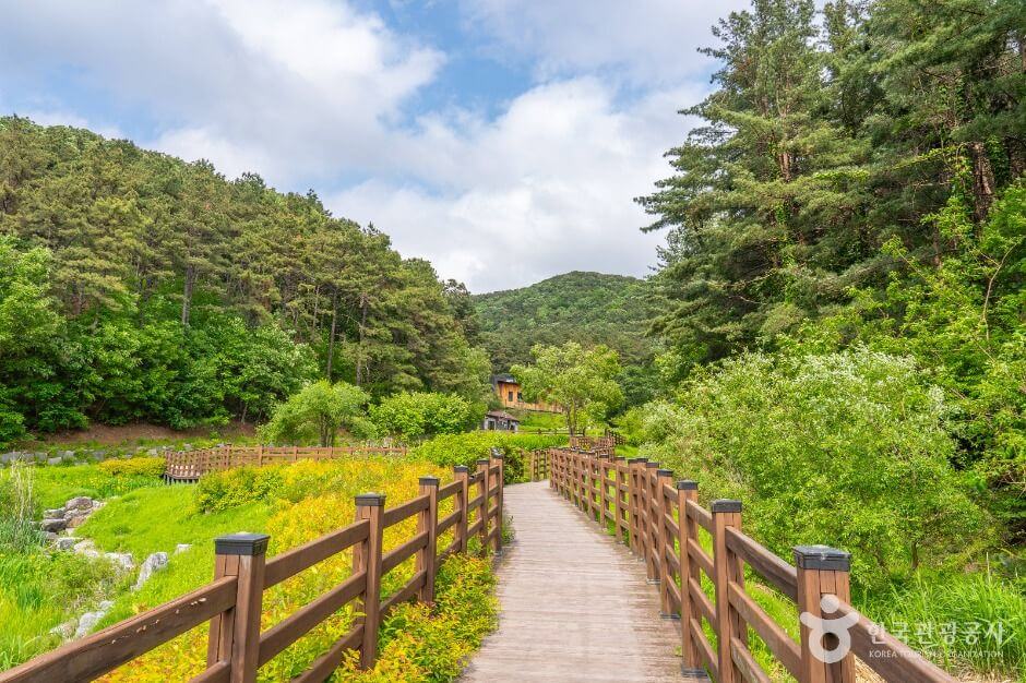 군포 가볼만한곳 베스트 10