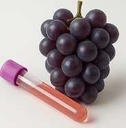 포도 효능