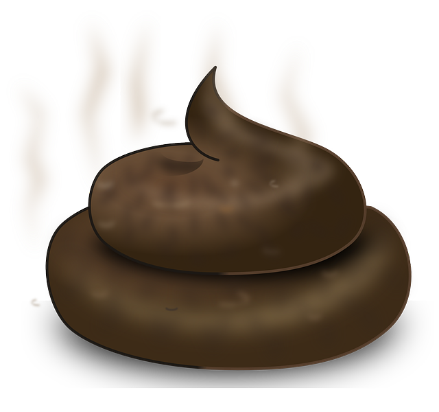 혈변-똥-피-원인-병원