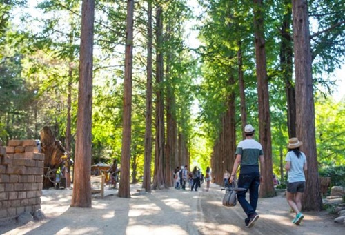 강원도 가볼만한곳 이미지 입니다.