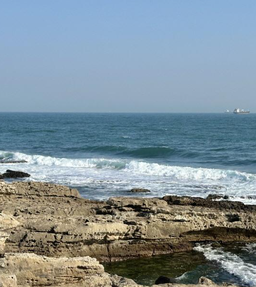 대왕암공원, 둘레길 산책