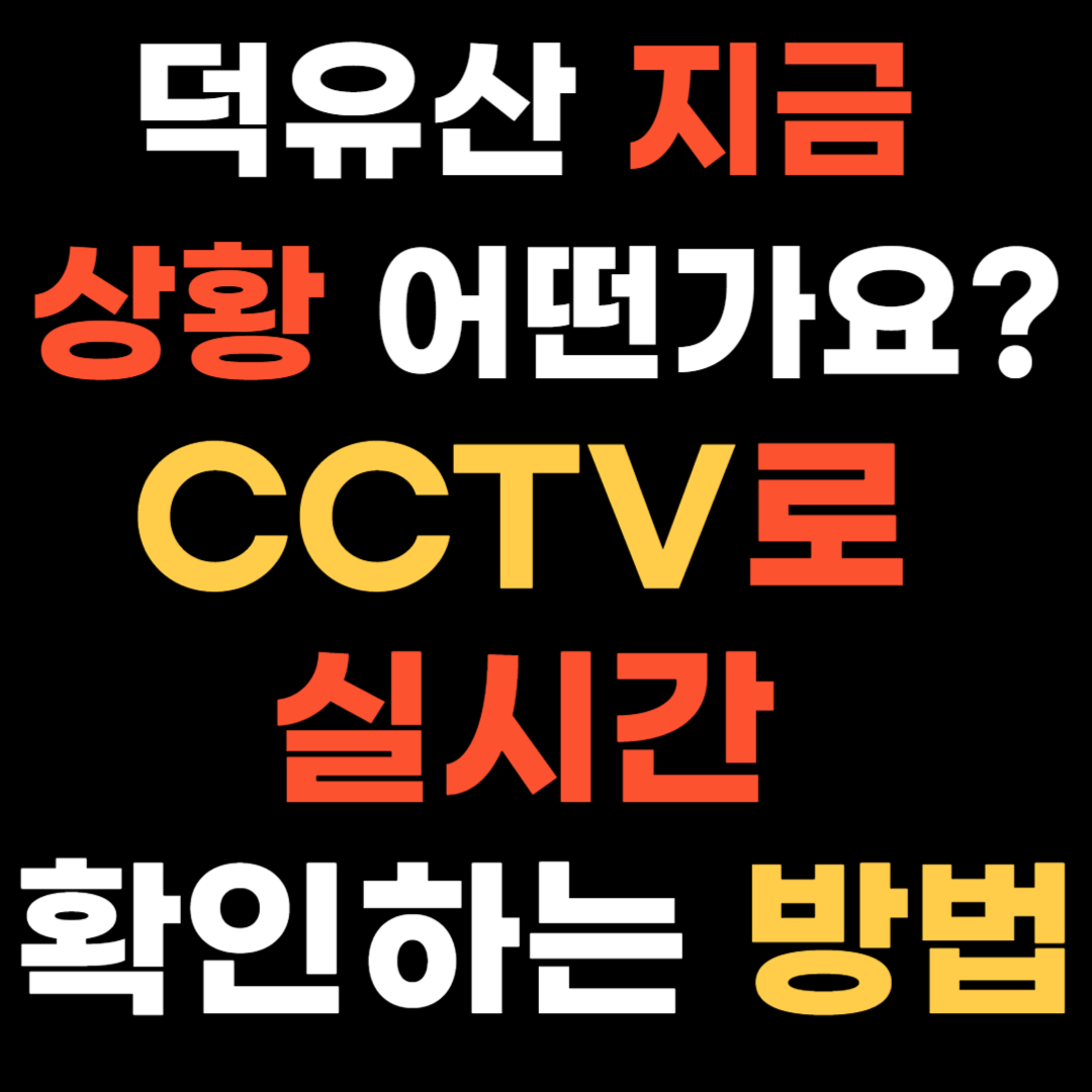 덕유산 지금 상황 어떤가요? CCTV로 실시간 확인하는 방법