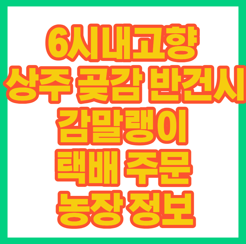 6시내고향 상주 곶감 반건시 감말랭이 택배 주문 농장 정보 총정리