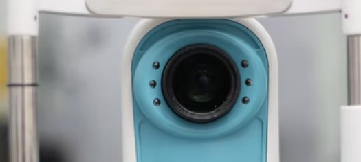 망막 색소변성증