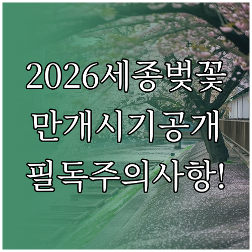 2026 세종 벚꽃 개화 일정 만개 ..