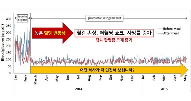 혈당일지
