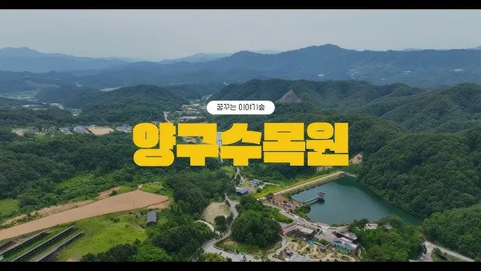 양구 가볼만한곳 베스트10 여행 놀거리 맛집_6