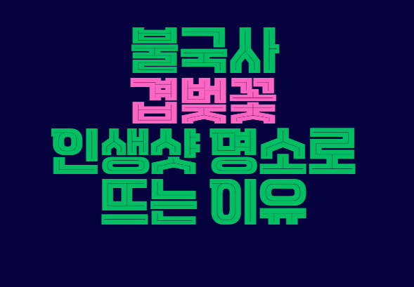 불국사_겹벚꽃