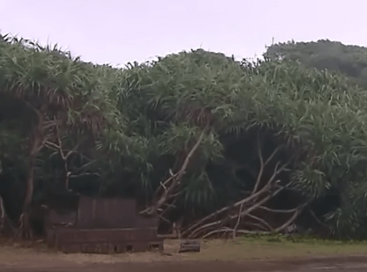 태풍 카눈 피해 상황