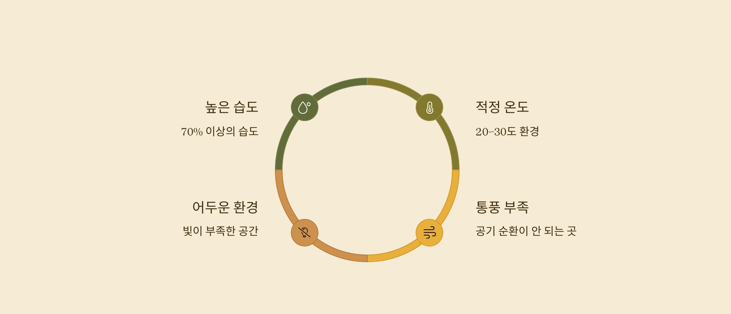곰팡이가 잘 생기는 조건