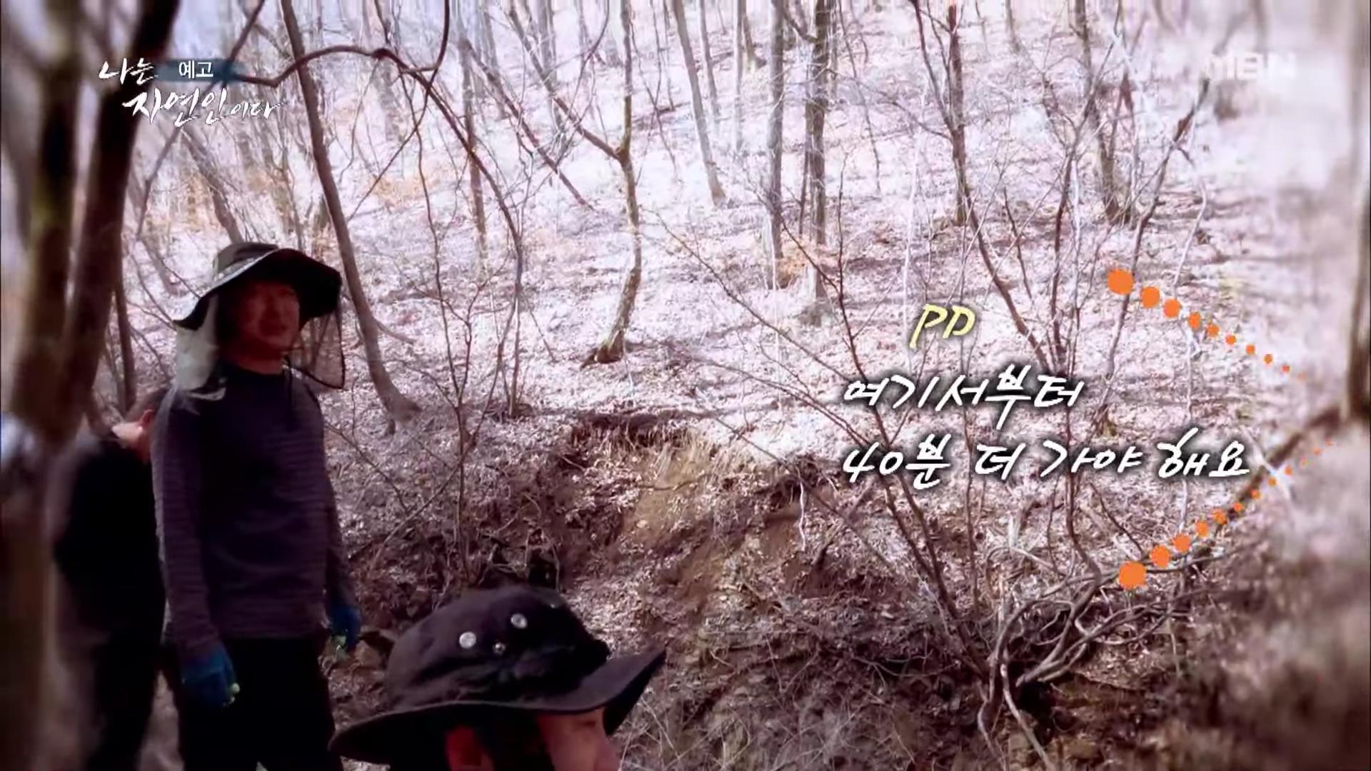 나는 자연인이다 100년 집 머위꽃 튀김 달래무침 개복숭아 고추장 황태 북어 구이 고립무원의 자유 자연인 서옥선 소개 및 윤택 출연 549회 다시보기