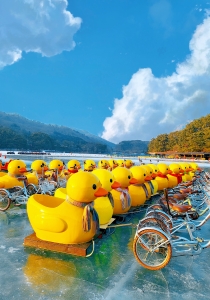 포천 산정호수 오리배 요금 종류