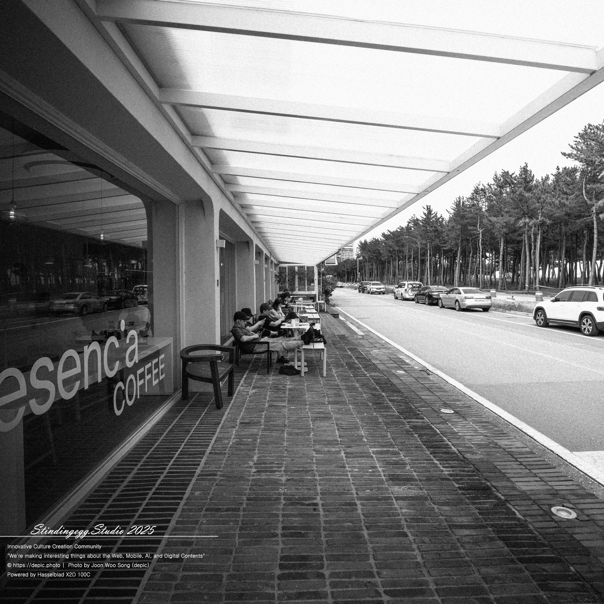 #양양 #낙산 #낙산해변 #해변 #바다 #카페