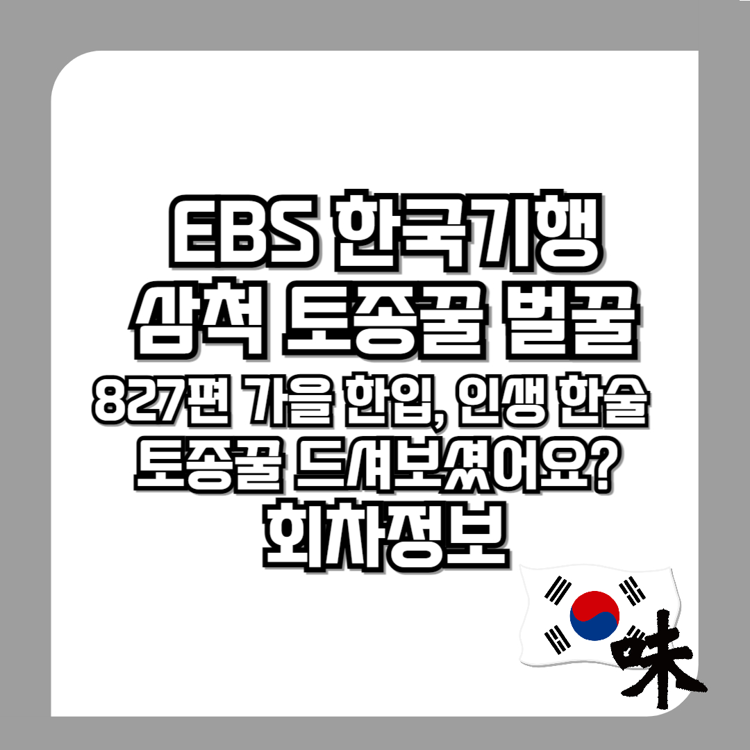 한국기행-삼척-토종꿀-벌꿀-827편-가을-한입,-인생-한술-토종꿀-드셔보셨어요-회차정보