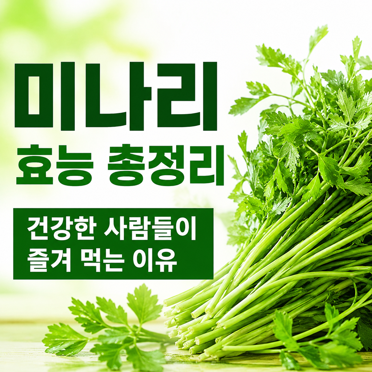 미나리 효능