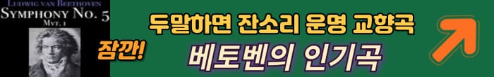 베토벤 운명 교향곡