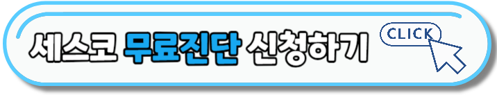 세스코 가정집 비용 아파트,원룸,투룸 가격 (셀프진단)