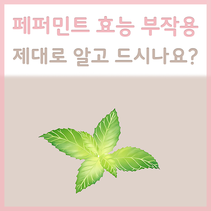 페퍼민트
