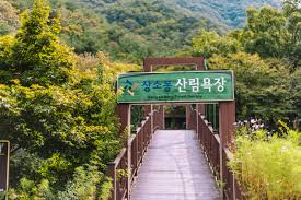 상소동 산림욕장