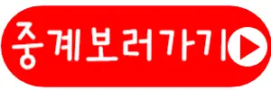 16강중계방송
