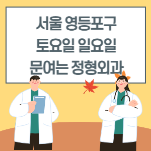 서울 영등포구 토요일 일요일 정형외과 진료 병원 리스트