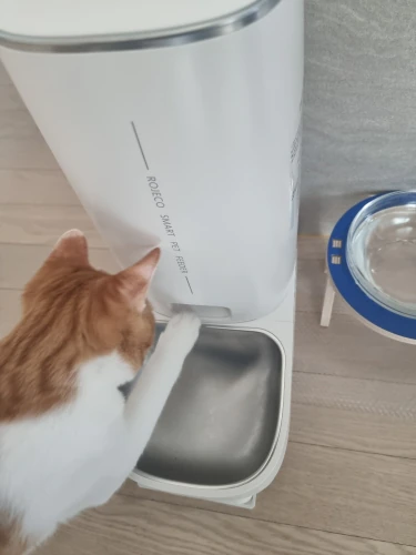 애완동물 자동급식기