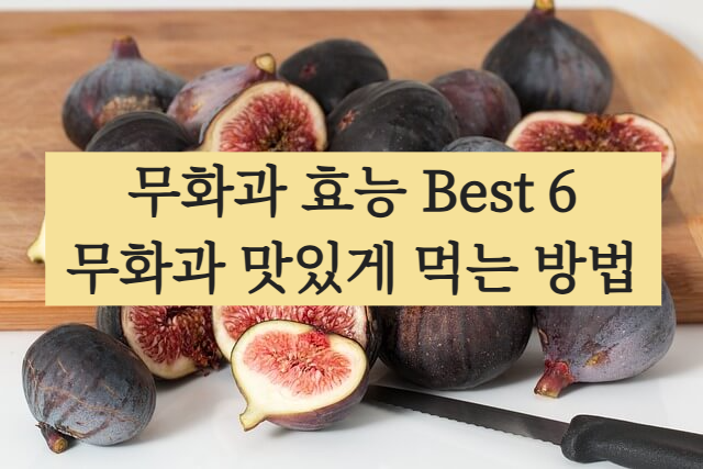 무화과 효능