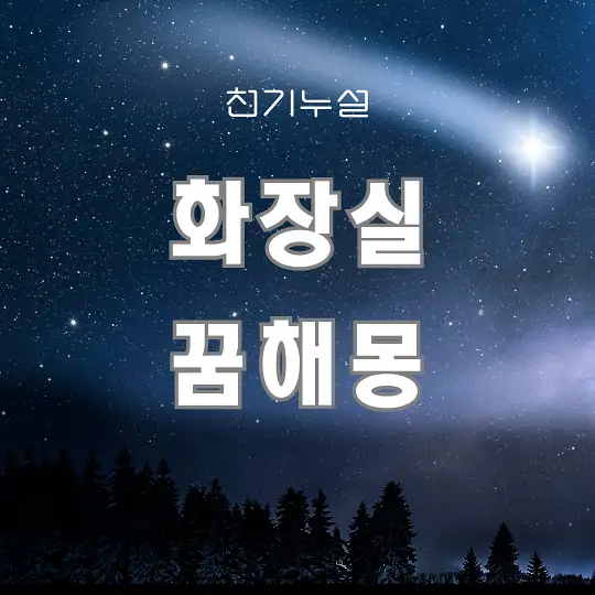 화장실 꿈해몽