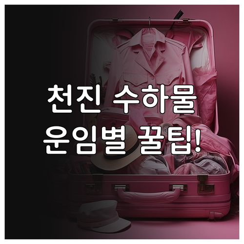 천진항공 위탁수하물 규정 운임별 차이..