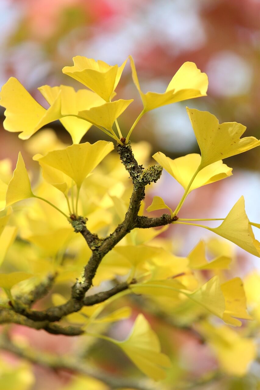겨울 캠핑장 예약 100% 성공하는 꿀팁 대공개